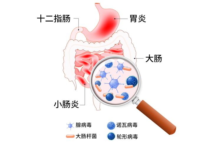 【合肥长淮中医医院】多喝水伤肾？听听医生怎么说