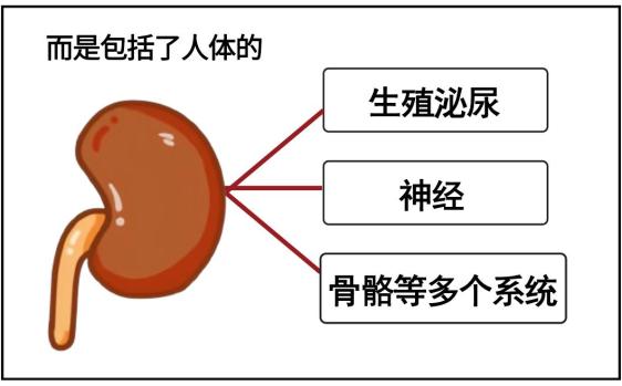 【合肥长淮中医医院】3招让你“肾”强力壮！