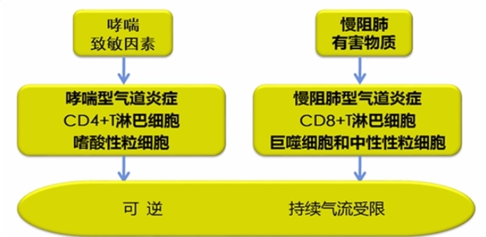 【合肥长淮中医医院】一文说清楚哮喘与慢阻肺！